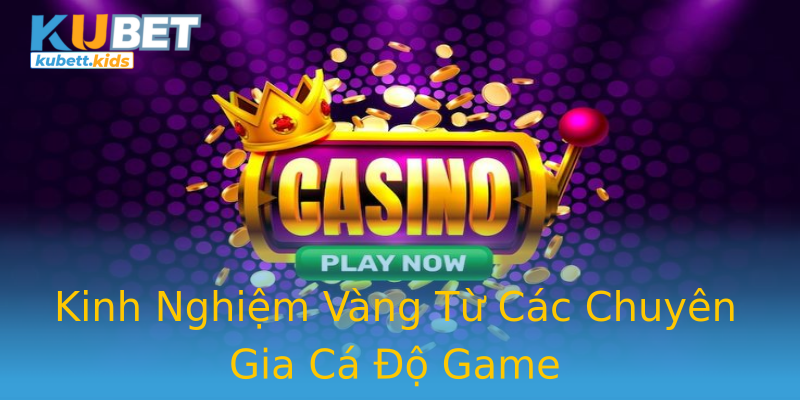 Kinh Nghiệm Vàng Từ Các Chuyên Gia Cá Độ Game Kinh Nghiệm Vàng Từ Các Chuyên Gia Cá Độ Game